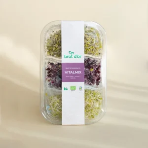 Brots germinats VITALMIX