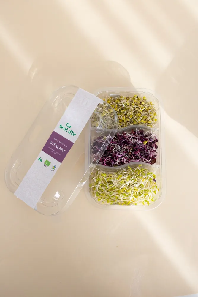 Brots germinats VITALMIX - Imatge 3