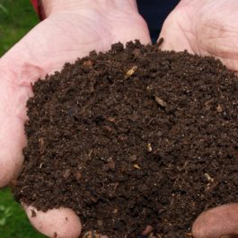 Compost Compost